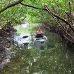 2-Hour Clear Kayak Rentals in St Pete, FL - Clam Bayou - Authentic Wildlife Encounters and Scenic Views