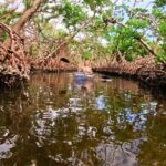 2 Hour Clear Kayak Tour at Emerson Point Preserve - Who Will Love This Experience?