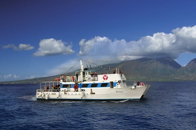2-Hour Maui Whale Watch from Lahaina Harbor, Maui - Why This Tour Offers Great Value