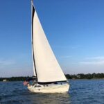 2 - Hour Private Hilton Head Morning Dolphin Watching / Sail - Why This Tour Stands Out