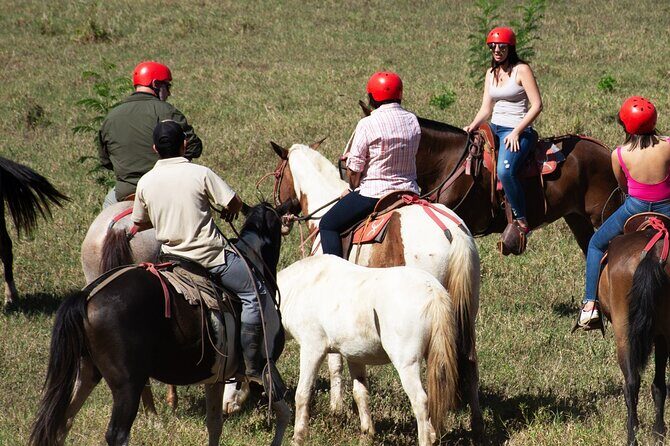 2 Hour Private Horseback Riding in Tarcoles Costa Rica - A Closer Look at the Horseback Riding Tour