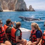 2-Hour Shore Excursion | Arch, Lovers Beach & Whale Encounters - Final Thoughts