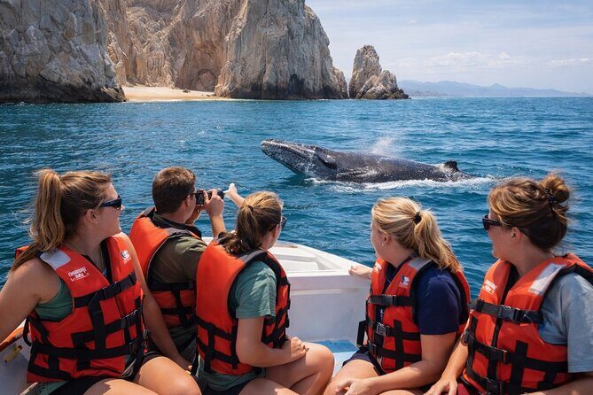 2-Hour Shore Excursion | Arch, Lovers Beach & Whale Encounters - Final Thoughts