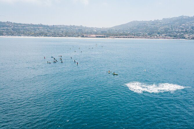 2 Hour Whale Watching Kayak Tour for Two - Practical Details and Tips