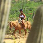 2 Hours Horseback Riding Adventure in Cabo - FAQ