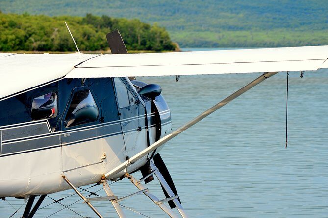 2 Park Bear Viewing Adventure to Katmai and Lake Clark NP - Who Should Consider This Tour?