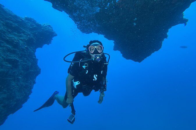 2 Tank Natural Reef & Wreck Dive Tour off Wai'anae - An In-Depth Look at the Experience
