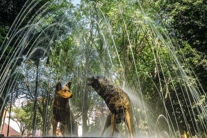 2D: Frida Kahlo Museo(No tiket)-Xochimilco & City CdMx & Pyramids - Practical Details and What It Means for You