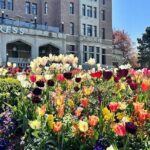 2hr City Highlights Private Tour in Victoria BC - What the Reviews Say: Authentic Voices