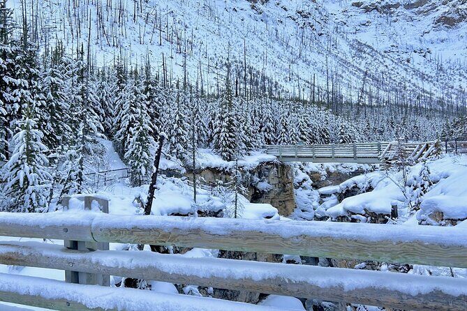 3 Day Adventure Johnston Canyon and Lake Louise - Who Is This Tour Best For?