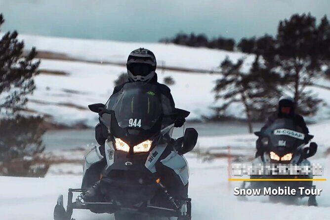 3-Day Aurora Viewing Tour from Whitehorse Canada - The Sum Up