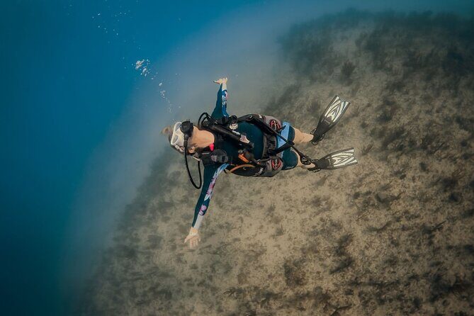 3 Day Scuba Diving Experience with 4 Immersion Courses - Who’s This Tour For?