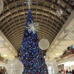 3 Hour December Holiday Lights Tour - FAQs