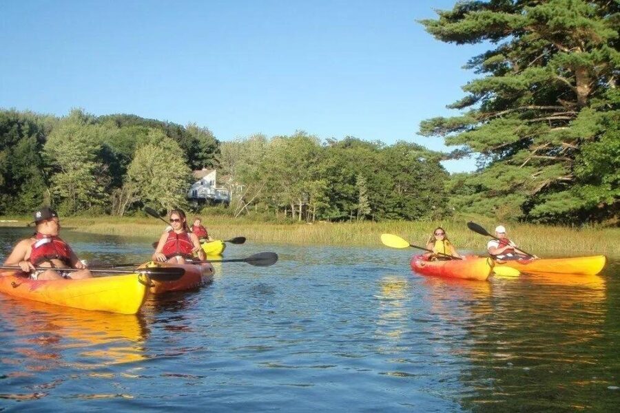 3 Hour Kayak/SUP Rental in Biddeford Pool - The Sum Up