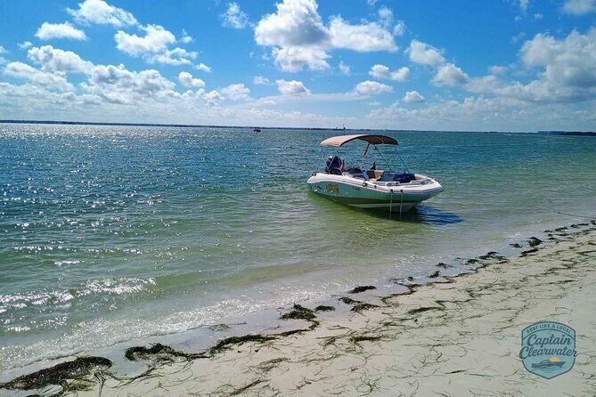 3-Hour Private Clearwater Beach Adventure  Dolphins & Sandbars - What’s Included and What to Consider