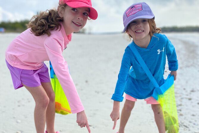 3 Hour Shelling Tour in Marco Island - An In-Depth Look at the ShellSeeker Safari Experience
