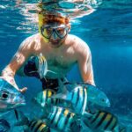 4 Hour Cozumel Reefs Snorkeling - An In-Depth Look at the 4-Hour Cozumel Reefs Snorkeling Tour