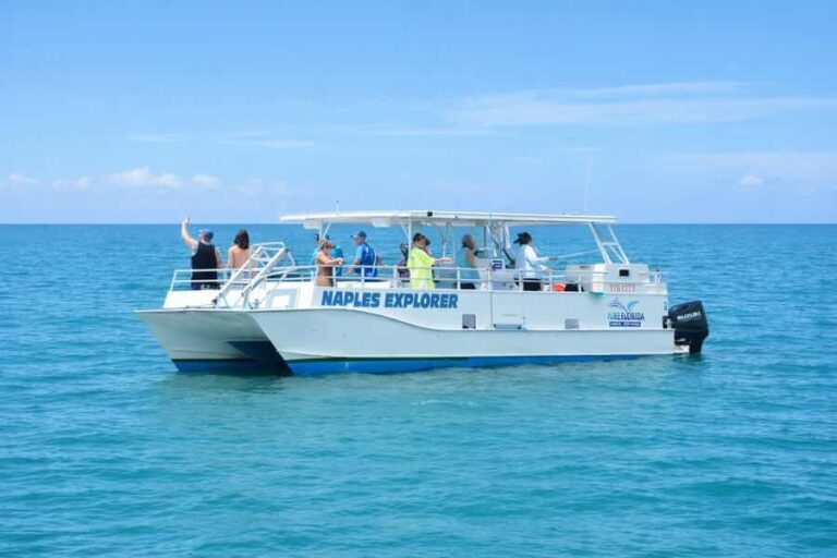 4 Hour Deep Sea Up to 9 Miles - Setting the Scene: What to Expect on This 4-Hour Deep Sea Trip