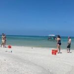 4 Hour Dolphin and Sandbar Cruise - A Closer Look at the 4 Hour Dolphin and Sandbar Cruise