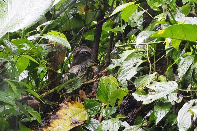 5 Day-4 Nights Extreme Private Amazon Experience - Potential Drawbacks and Considerations