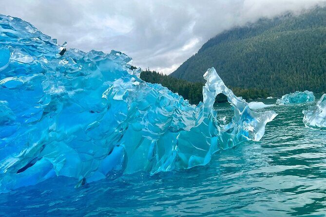 5 Day Jetski Expedition: Southeast Alaskan Adventure from Juneau - Final Thoughts