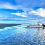 5 Hour Ultimate Lowcountry Day: Up To 6 Guests - Who Will Love This Tour?