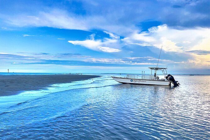 5 Hour Ultimate Lowcountry Day: Up To 6 Guests - Who Will Love This Tour?