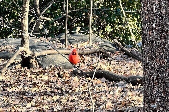 5 Stops Central Park Pedicab Tour Customizable Landmarks - Who Would Love This Tour?