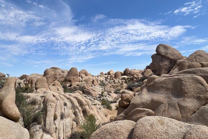 5G USA eSIM - Up to 50GB with Zero Roaming Fees - Why Travelers Rave About the Experience