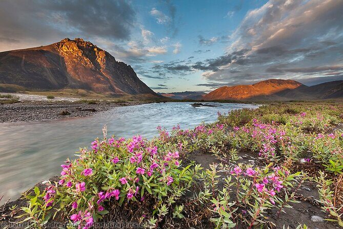 6 Day Grand Alaska Highlights Tour - Who Should Consider This Tour?