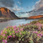 6 Days Best of Grand Alaska Highlights Tour - Price and Value: Is It Worth It?