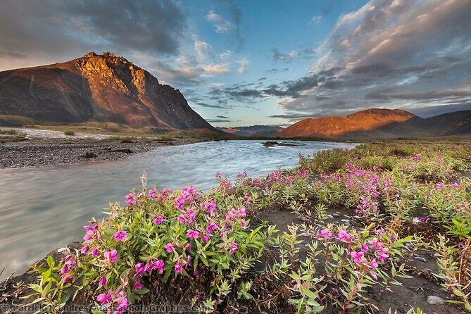 6 Days Best of Grand Alaska Highlights Tour - Price and Value: Is It Worth It?