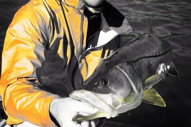 6 Hour Tarpon Springs, Florida Fishing Charter - What the Trip Looks Like