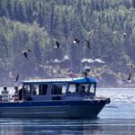 7 Hour Big Animal Encounter - The Value of a Seven-Hour Marine Adventure