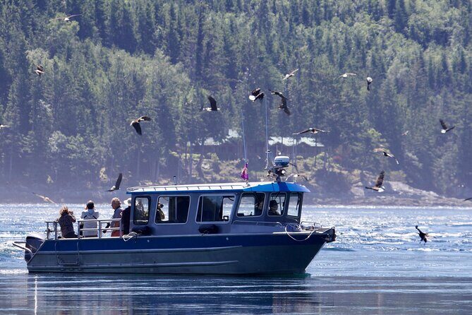 7 Hour Big Animal Encounter - The Value of a Seven-Hour Marine Adventure