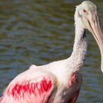 7 Hour Private Tour in Palo Verde National Park with Pickup - Authenticity and Practical Advice