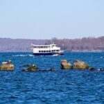 75 Minute Seal Watching Tour from Wickford - Final Thoughts: Who Should Book This Tour?