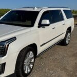 8-Hour Private Limousine Wine Country Tour of Napa or Sonoma - The Practicalities: What You Need to Know