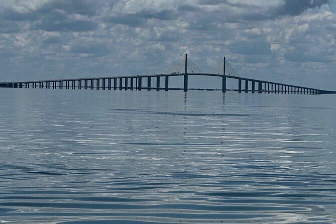 90 Minute Jet Ski Ft Desoto Sand Bar Tour - Who Should Consider This Tour?