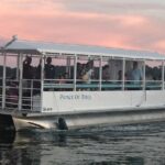 90 Minute Tour to See Dolphins in Hilton Head Island - What to Expect on the Tour: A Detailed Breakdown
