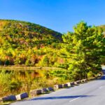 Acadia & Mount Desert Island: Private Full-Day Tour - A Deep Dive into the Acadia & Mount Desert Island Experience