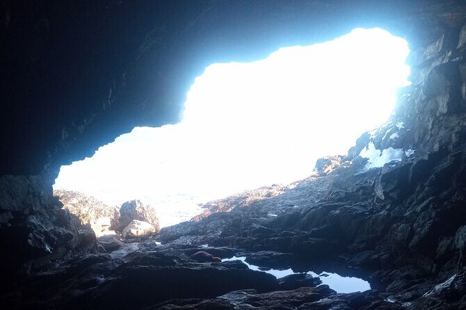 Acadia National Park Winter Wonderland Private Driving Tour - What We Loved About This Tour