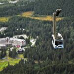 Aerial Tram and Wildlife Center tour from Anchorage - What Makes This Tour Stand Out?