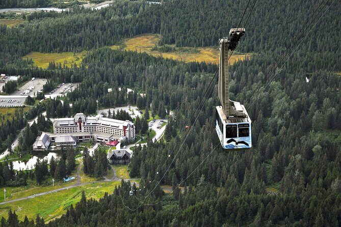 Aerial Tram and Wildlife Center tour from Anchorage - What Makes This Tour Stand Out?