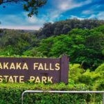 Akaka Falls Tour - Volcanoes National Park and Hilo Discovery - Who Should Book This Tour?