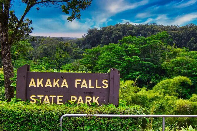 Akaka Falls Tour - Volcanoes National Park and Hilo Discovery - Who Should Book This Tour?