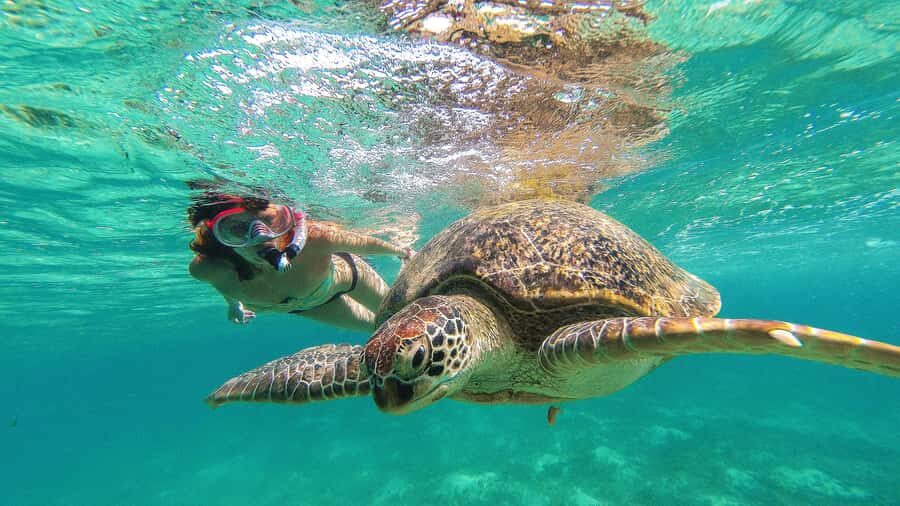 Akumal Reef & Turtle Swim - Final Thoughts: Is This Tour Worth It?