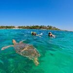 Akumal; Snorkeling with The Sea Turtles - Authentic Marine Encounters in a Protected Environment