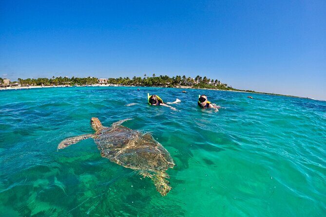 Akumal; Snorkeling with The Sea Turtles - Authentic Marine Encounters in a Protected Environment