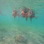 Akumal: Swim in Yalkuito and a cenote water outlet + Snorkel with turtles - Cost and Value